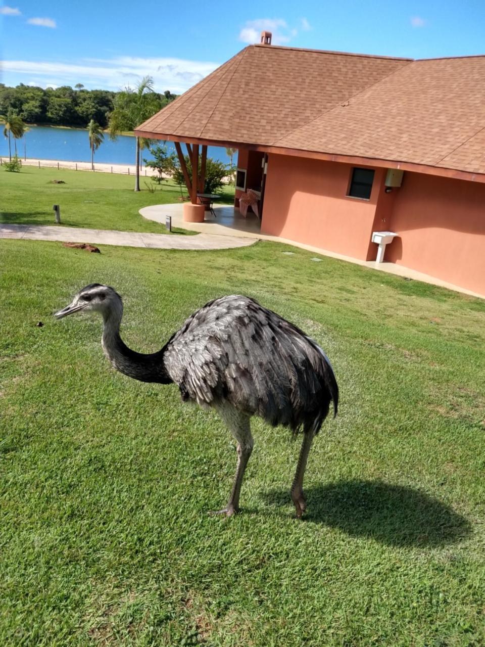 Malai Manso Cotista - Resort Acomodacoes 4 Hosp (Adults Only) Retiro  외부 사진